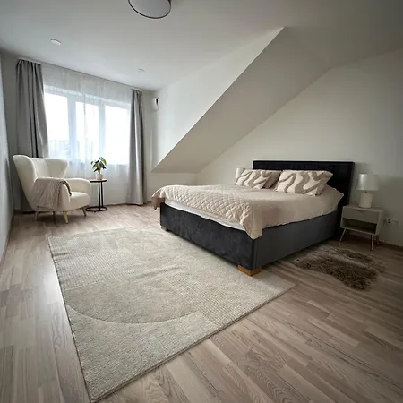 Cosy Flat In Near & Center * パルヌ