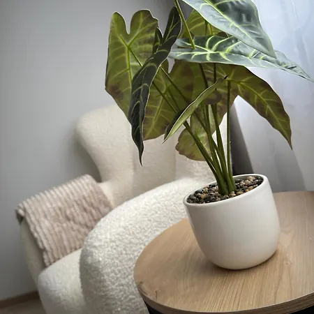 شقة Cosy Flat In Near & Center