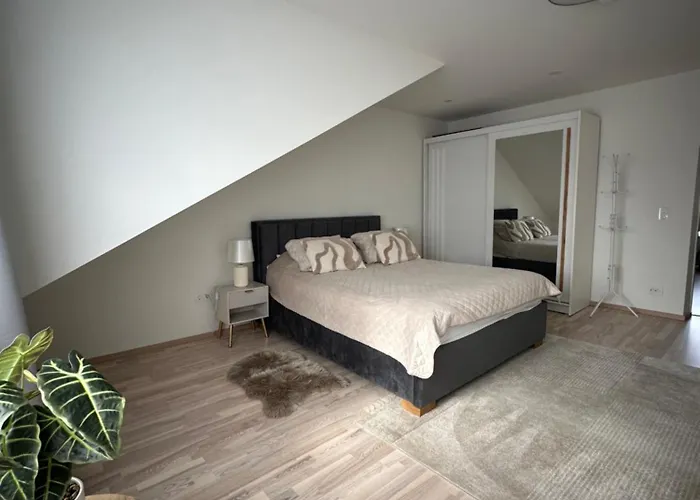 Cosy Flat In Near & Center Parnu