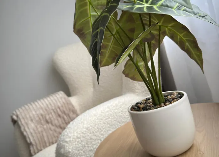 Apartment Cosy Flat In Near & Center